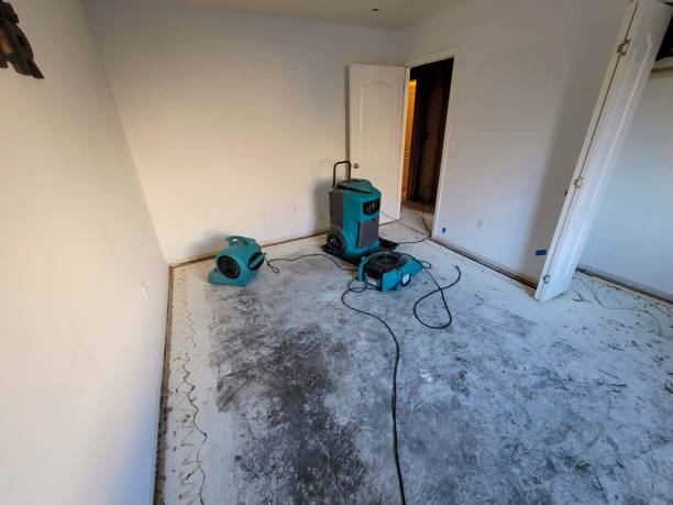 Best Water damage restoration near me  in Bannockburn, IL