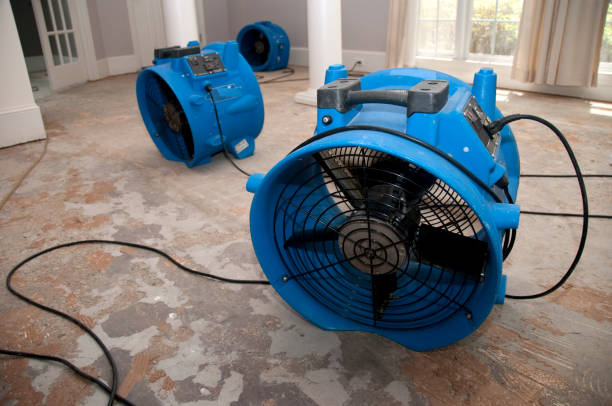 Best Ceiling water damage repair  in Bannockburn, IL